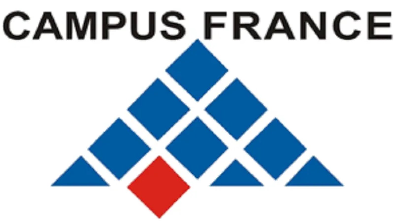 Campus France : Des bourses de recherche ouvertes aux jeunes chercheurs internationaux