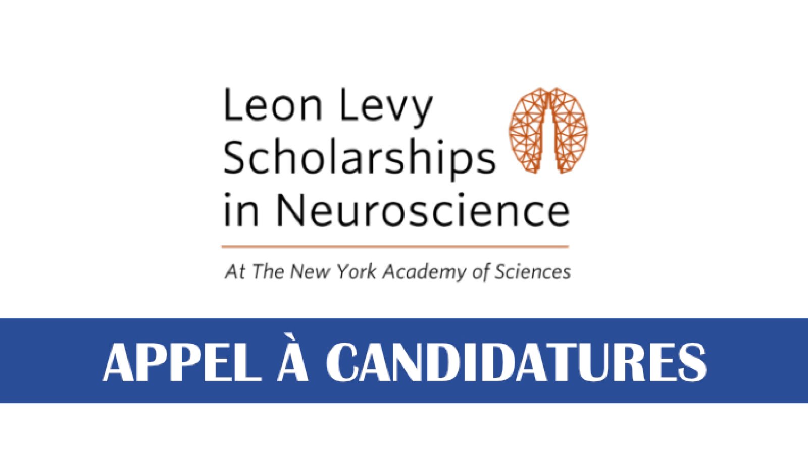 Bourses Leon Levy 2027 : Les candidatures sont ouvertes pour les jeunes chercheurs en neurosciences