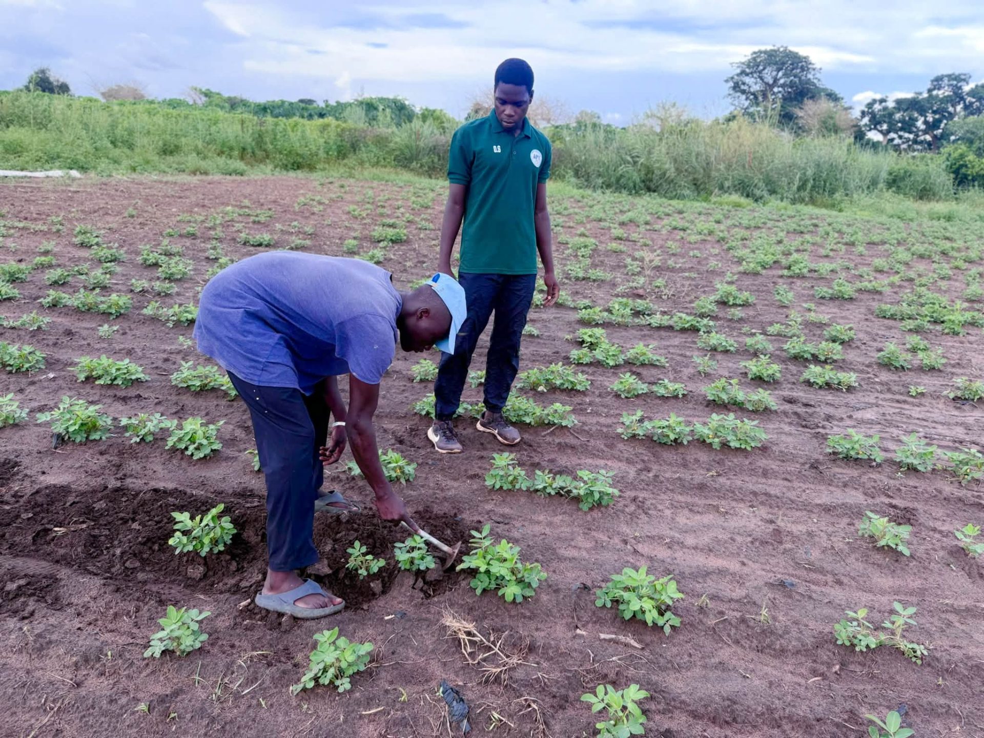 Sénégal / USSEIN : une formation pratique en agroécologie pour préparer les étudiants aux défis de l’agriculture durable
