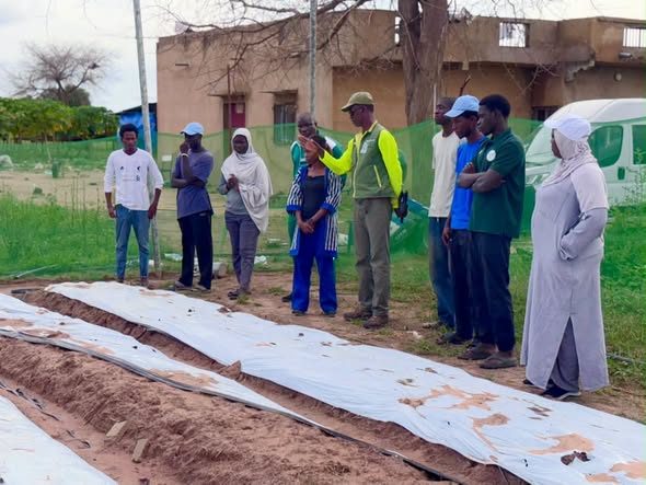 Sénégal / USSEIN : une formation pratique en agroécologie pour préparer les étudiants aux défis de l’agriculture durable