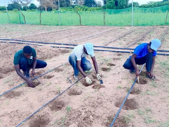Sénégal / USSEIN : une formation pratique en agroécologie pour préparer les étudiants aux défis de l’agriculture durable