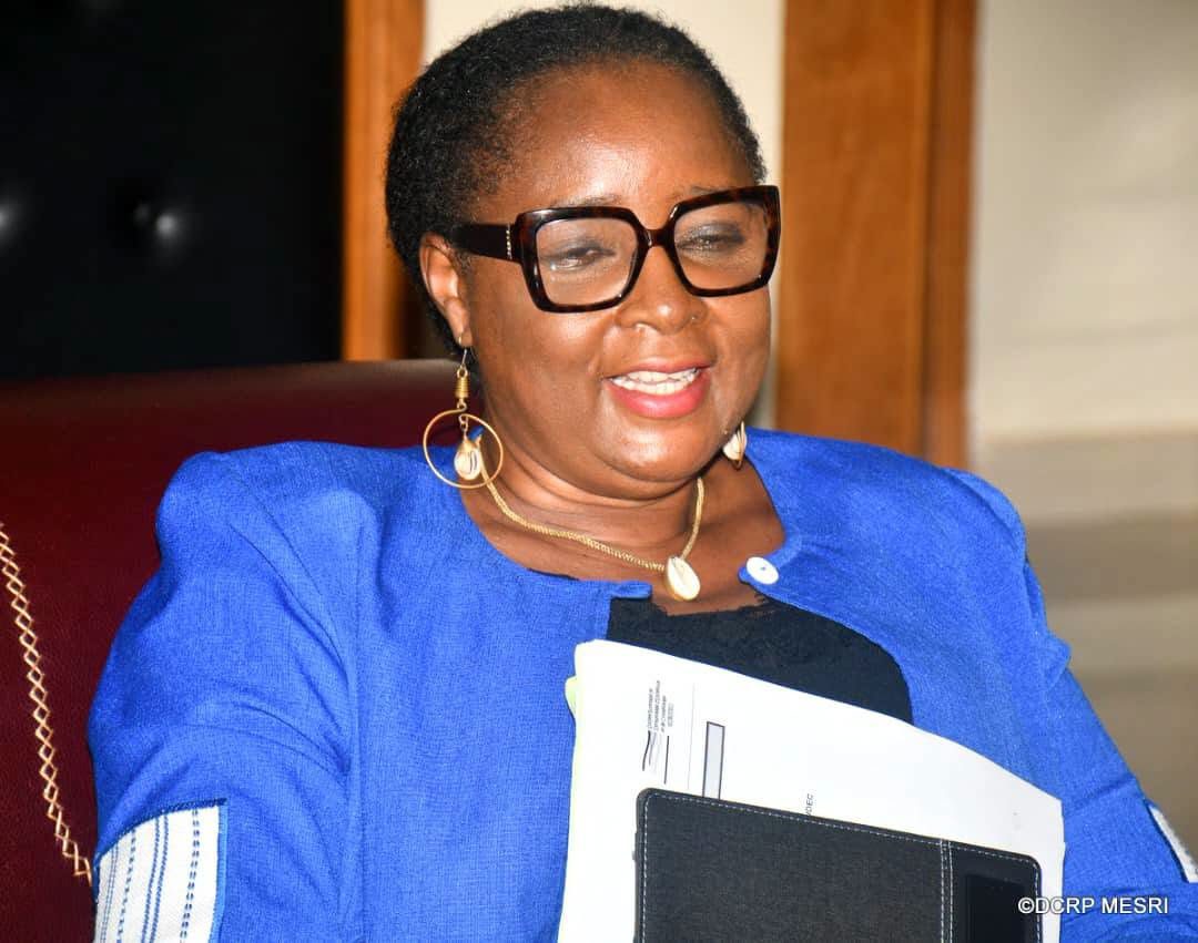 6e Congrès de dermatologie d’Afrique francophone : Le Comité d’organisation présente l’état d’avancement des préparatifs au ministre de l’Enseignement supérieur