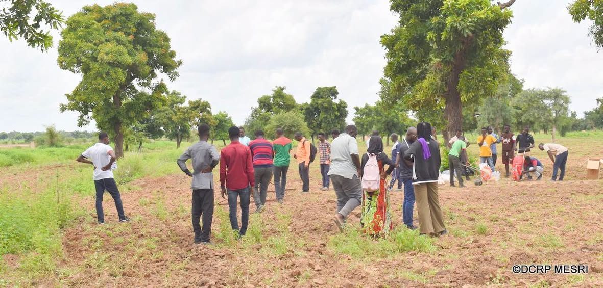 Burkina Faso / La 2e édition de TOP-VEVA officiellement lancée pour mobiliser les étudiants autour du volontariat agricole