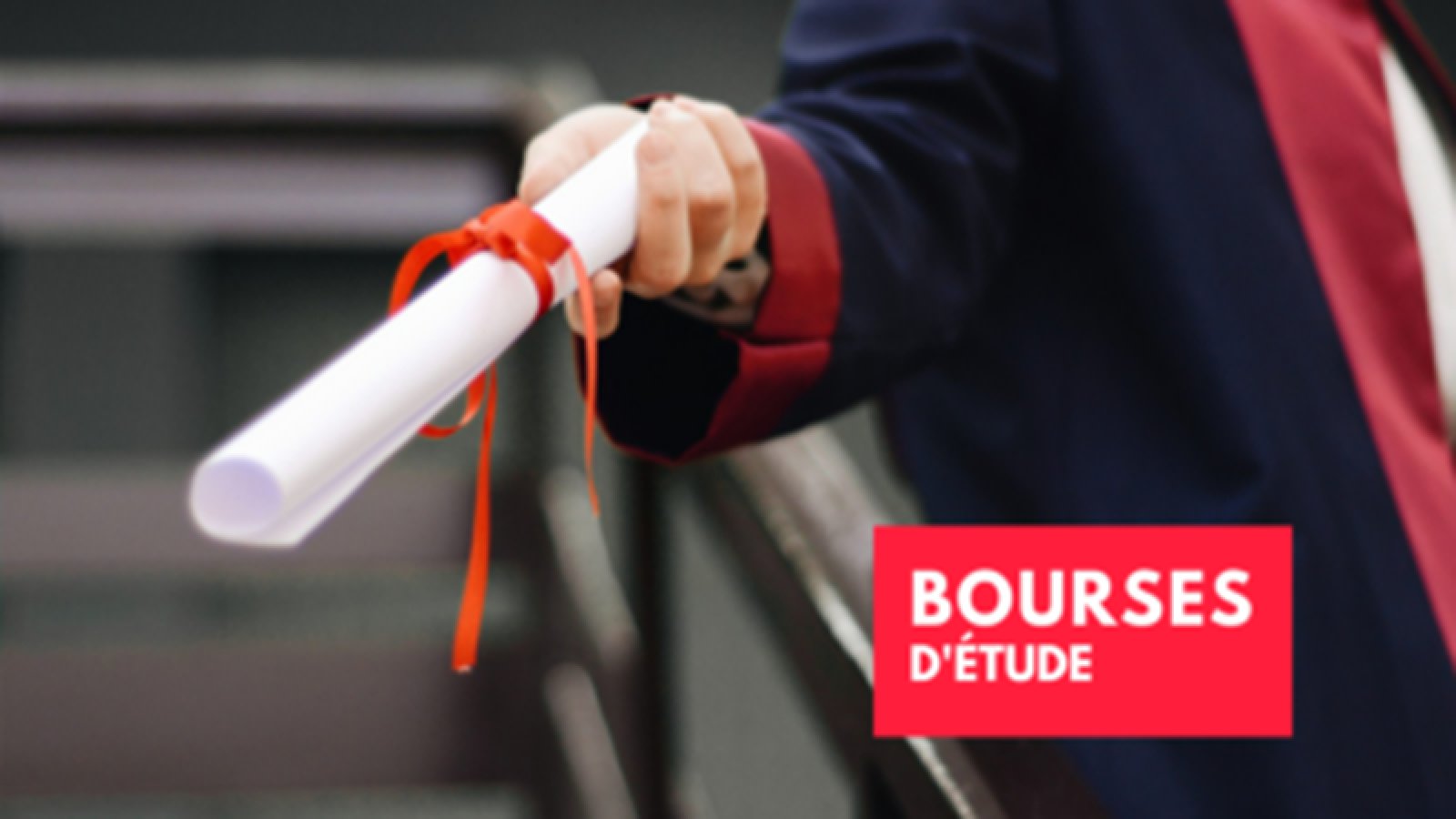 Une bourse d’études en droits de l’Homme ouverte aux étudiants en droit pour l’année universitaire 2027-2028
