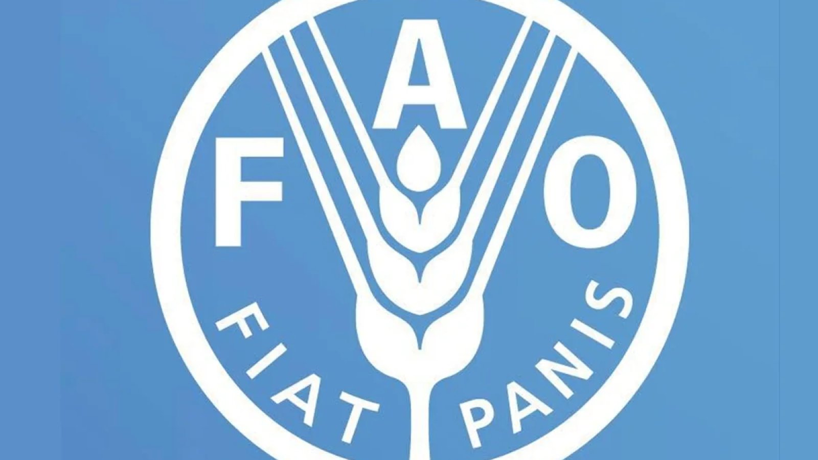 Bourse FAO : Les candidatures ouvertes dans plusieurs domaines d’expertise